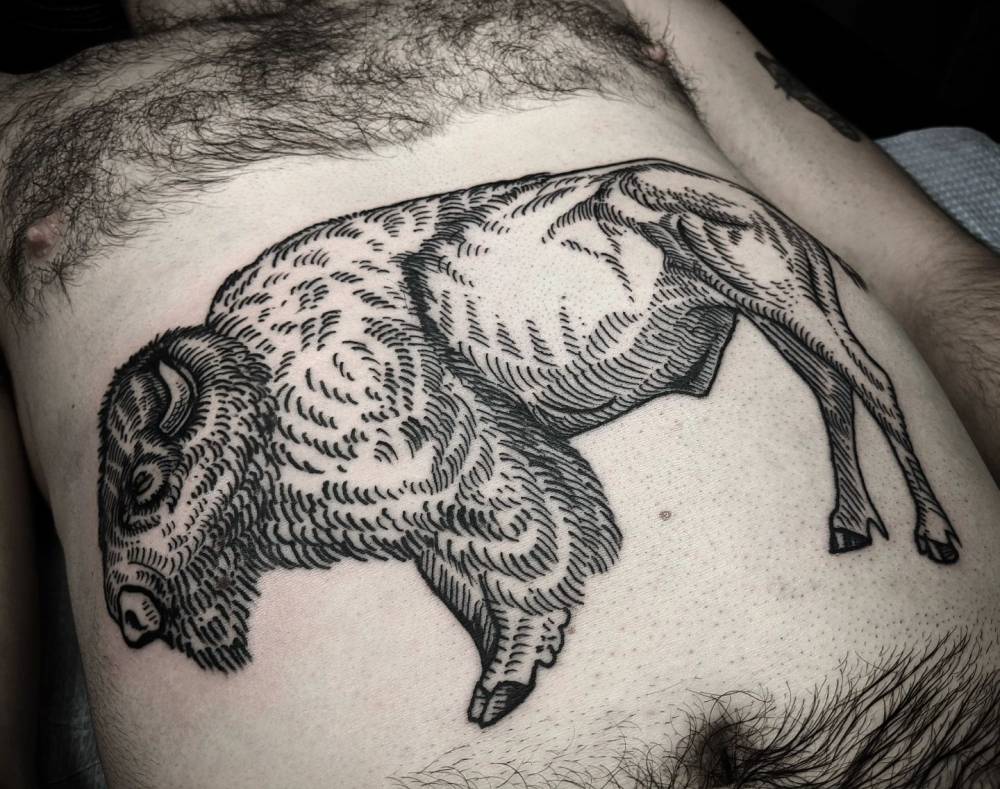 Engraving style bison tattoo placed on the stomach.