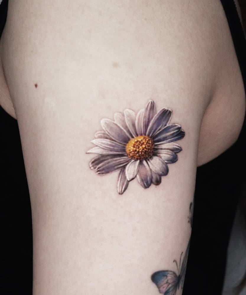 Realistic daisy flower tattoo located on the upper arm.