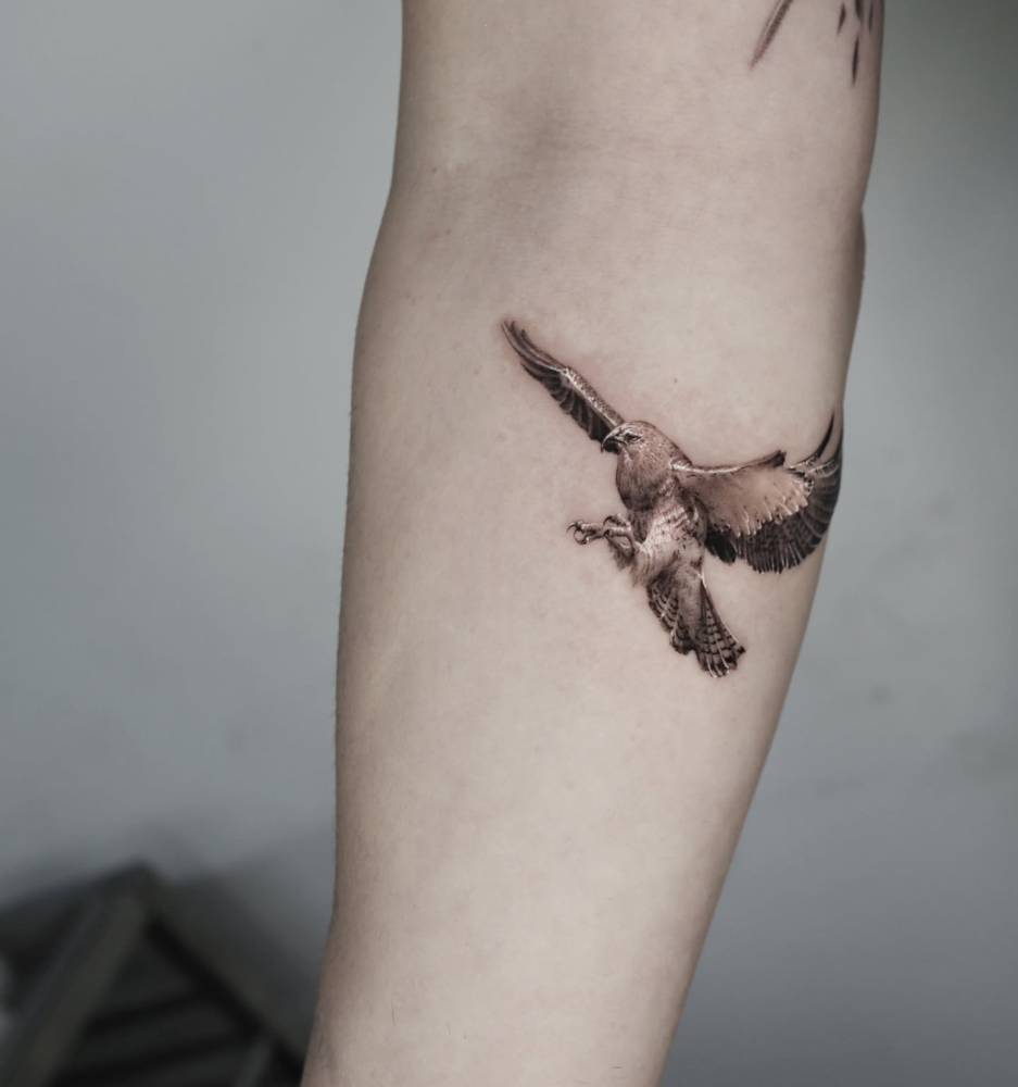 Eagle tattoo located on the inner forearm, micro-realistic style.
