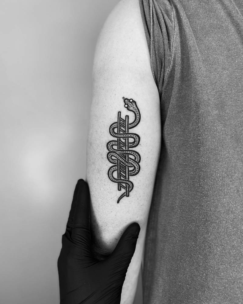 'The Snake & Ladder'.