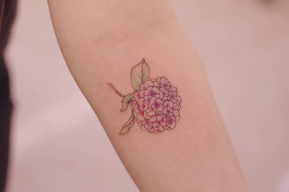 Hydrangea in illustrative style tattooed on the inner forearm.