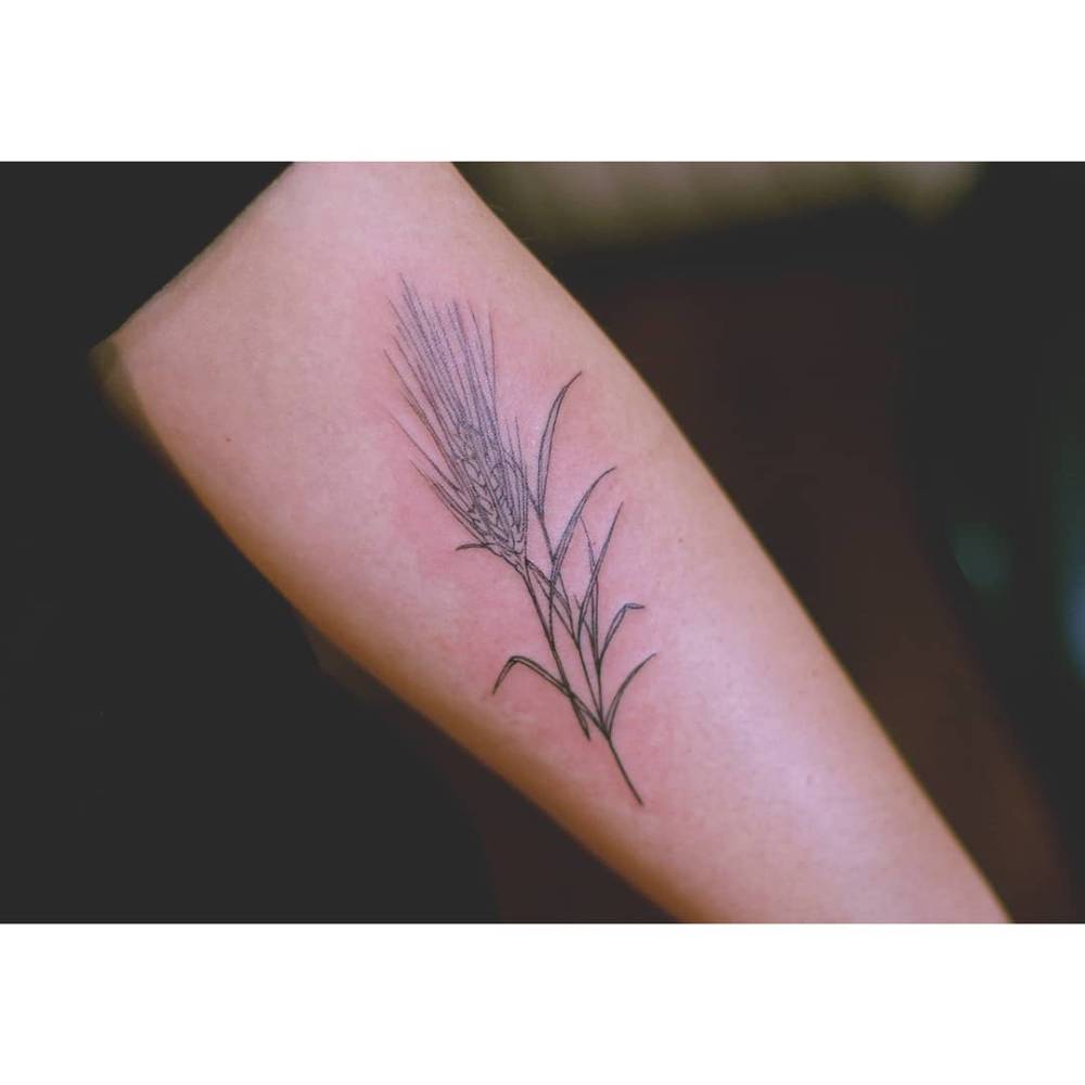 Wheat in illustrative style tattooed on the inner forearm.