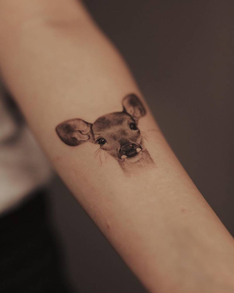 Micro-realistic style fawn portrait tattoo placed on the inner forearm.