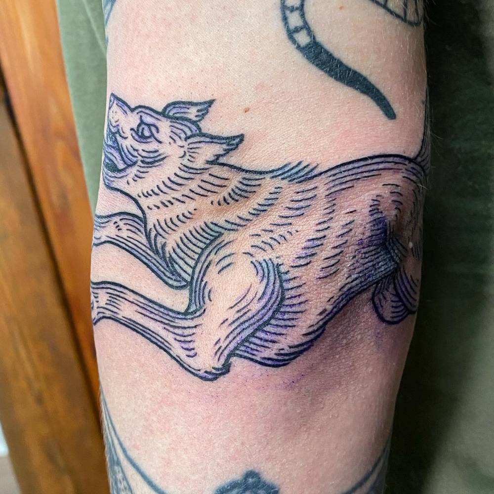 Engraving style wolf tattoo done on the elbow.