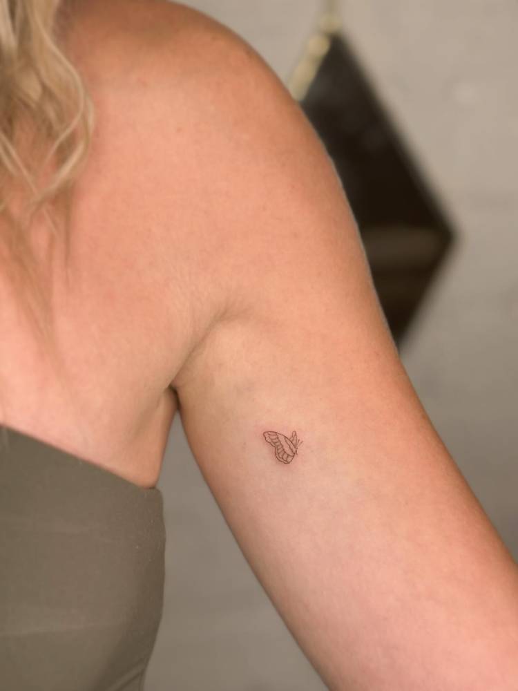 Tiny butterfly in fine line style tattooed on the inner arm.