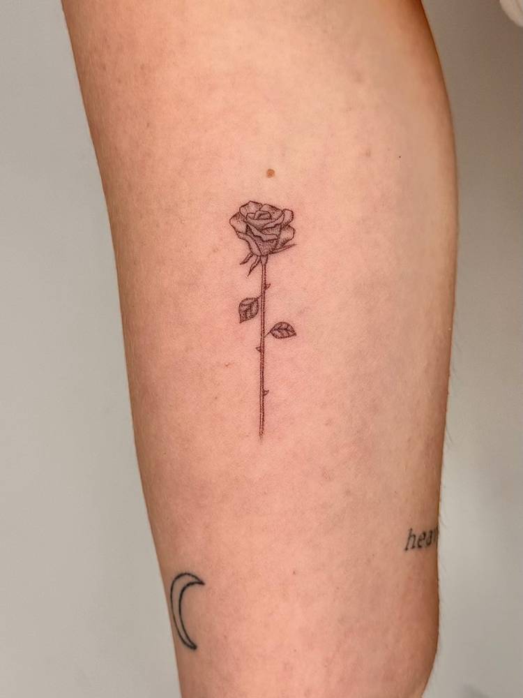 Single needle rose tattoo in illustrative style done on the inner arm.