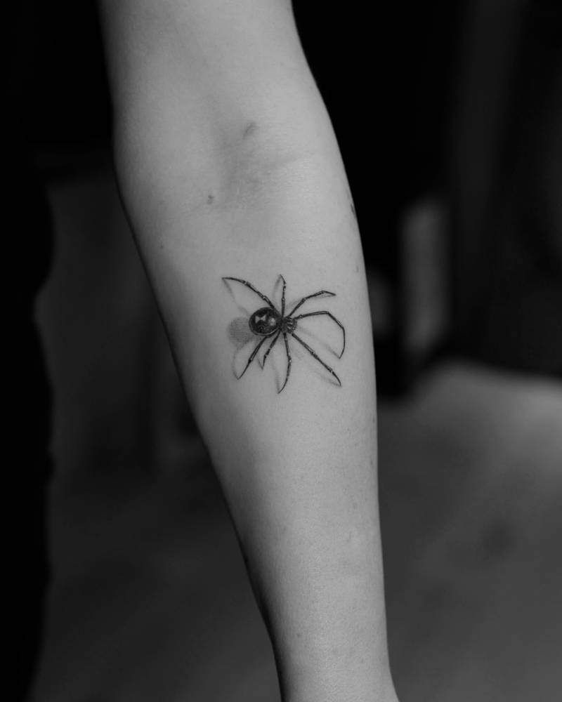 Micro-realistic style spider tattoo located on the inner forearm.