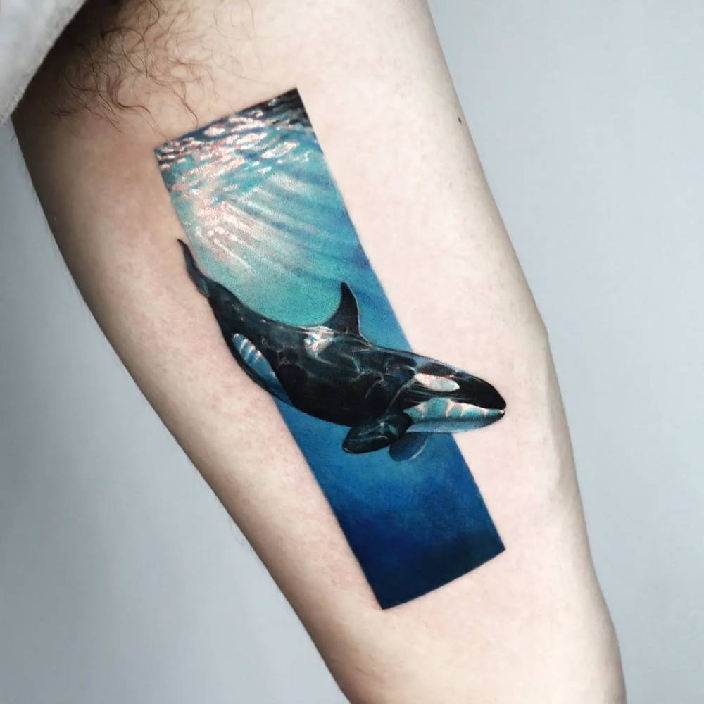 Orca tattoo in micro-realistic style located on the inner arm.