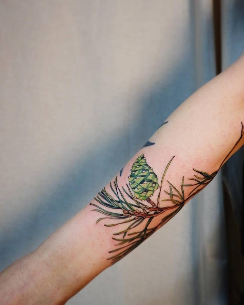 Pine leaves and cone tattoo located on the inner forearm, illustrative style.