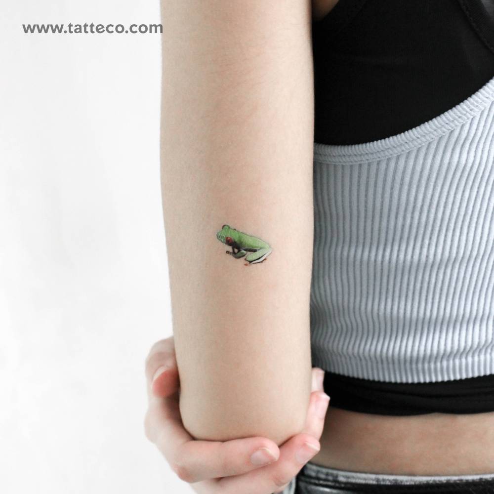 Red Eyed Tree Frog Temporary Tattoo