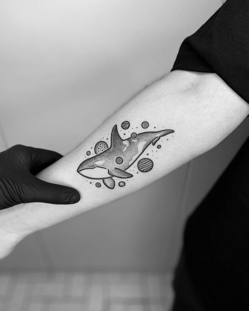 'The Cosmic Killer Whale'.