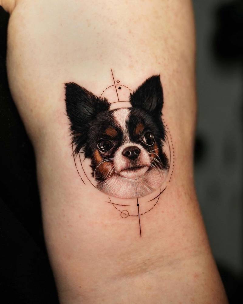 Chihuahua portrait tattoo located on the bicep.