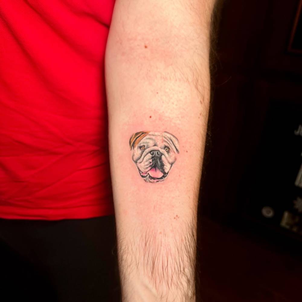 Micro-realistic bulldog portrait tattooed on the inner forearm.