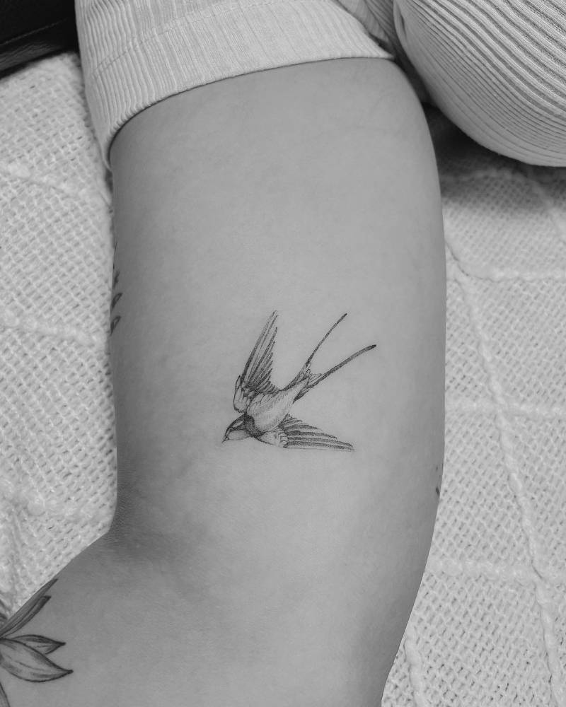 Tattoo of a micro-realistic swallow located on the inner arm.