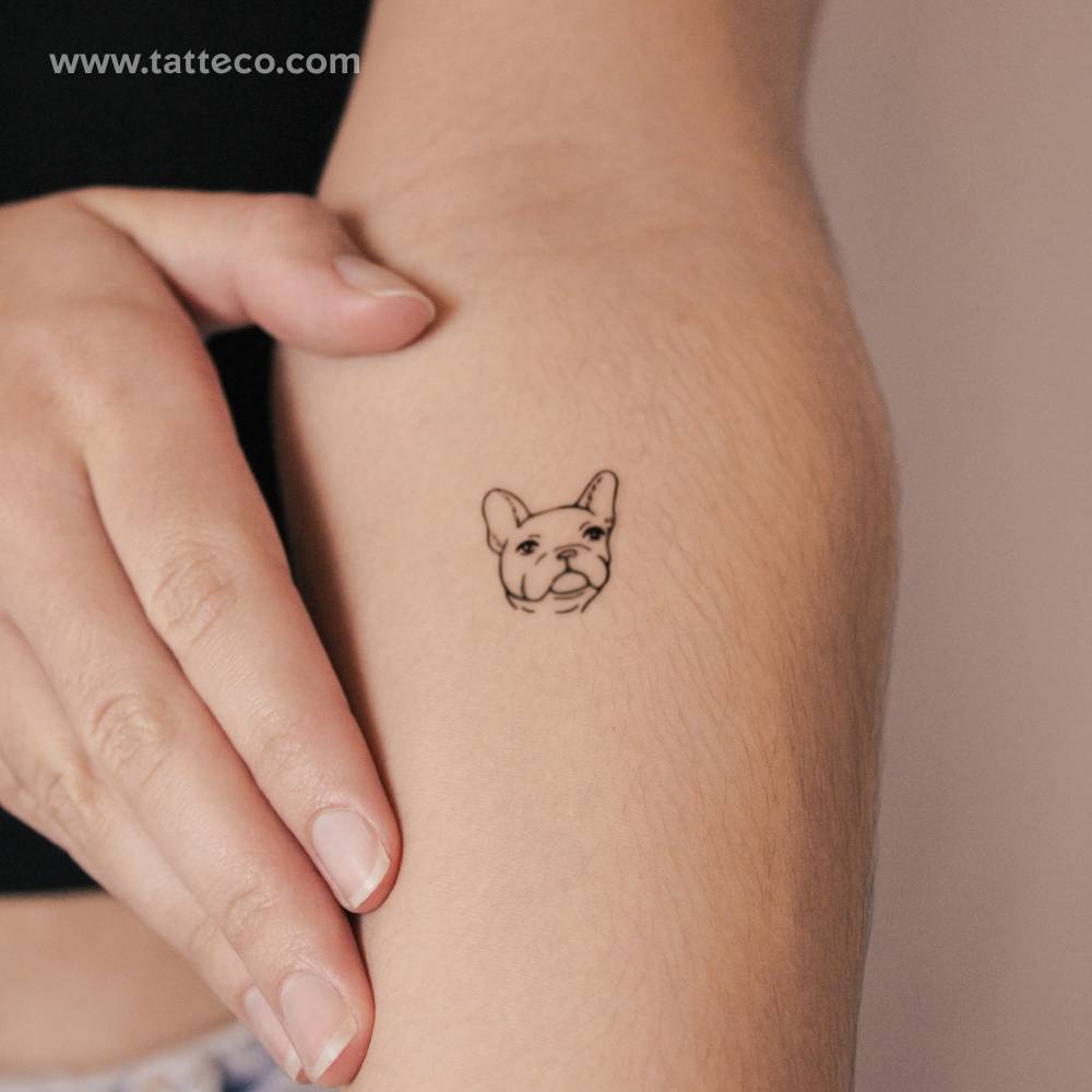 Little French Bulldog Semi-Permanent Tattoo