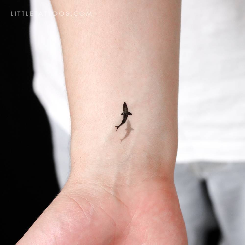 Little Shark And Shadow Temporary Tattoo