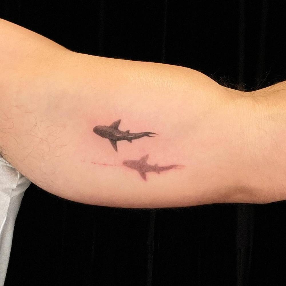 Flying shark.