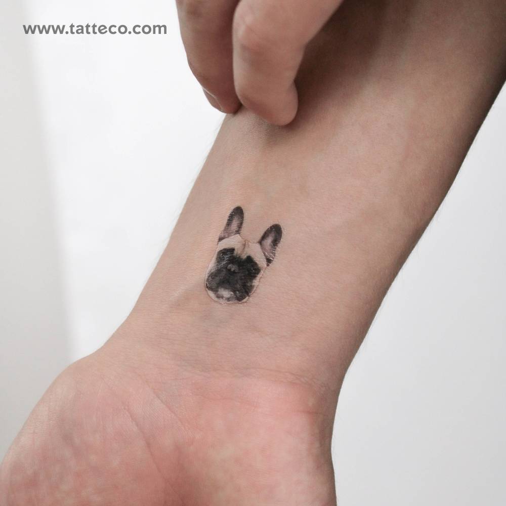 Frenchie Portrait Temporary Tattoo