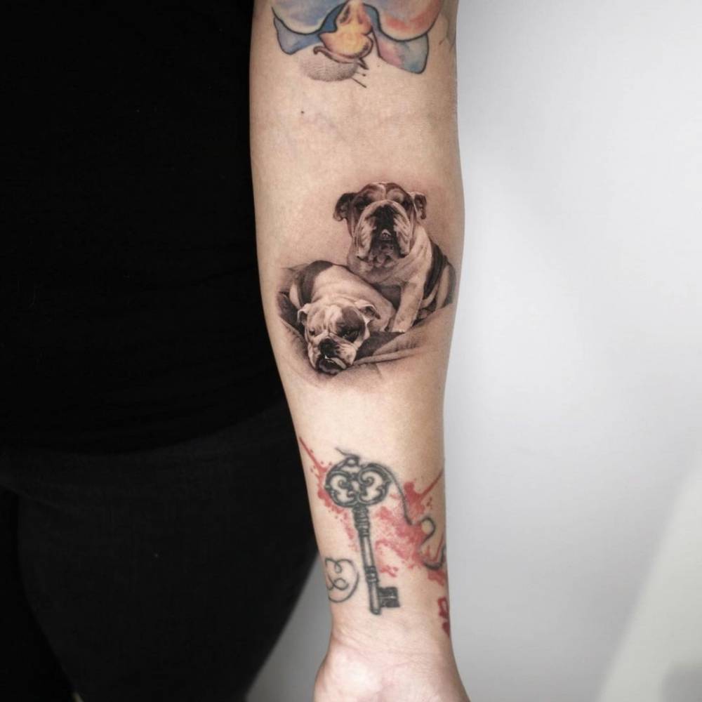 Micro-realistic bulldogs tattoo on the inner forearm
