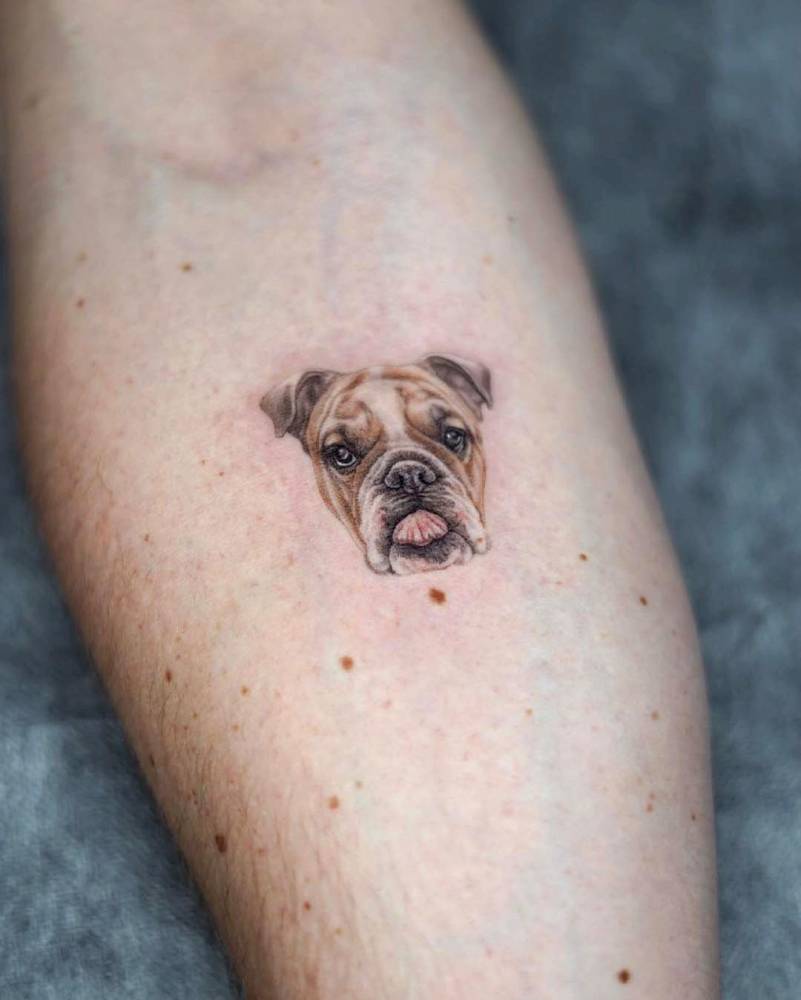 English Bulldog portrait tattoo located on the inner forearm.