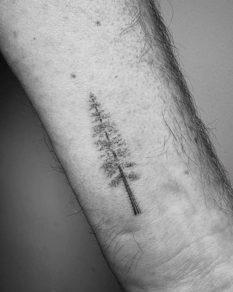 Redwood tree tattoo located on the wrist.