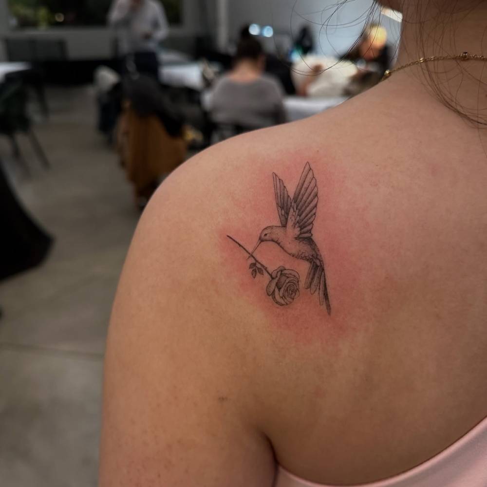 Hummingbird and rose tattoo located on the shoulder blade, illustrative style.