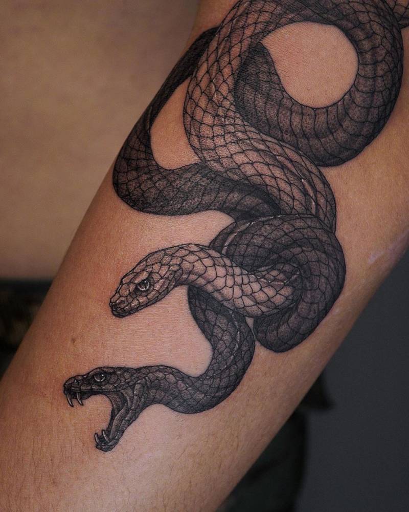 Blackwork style snakes tattooed on the arm.