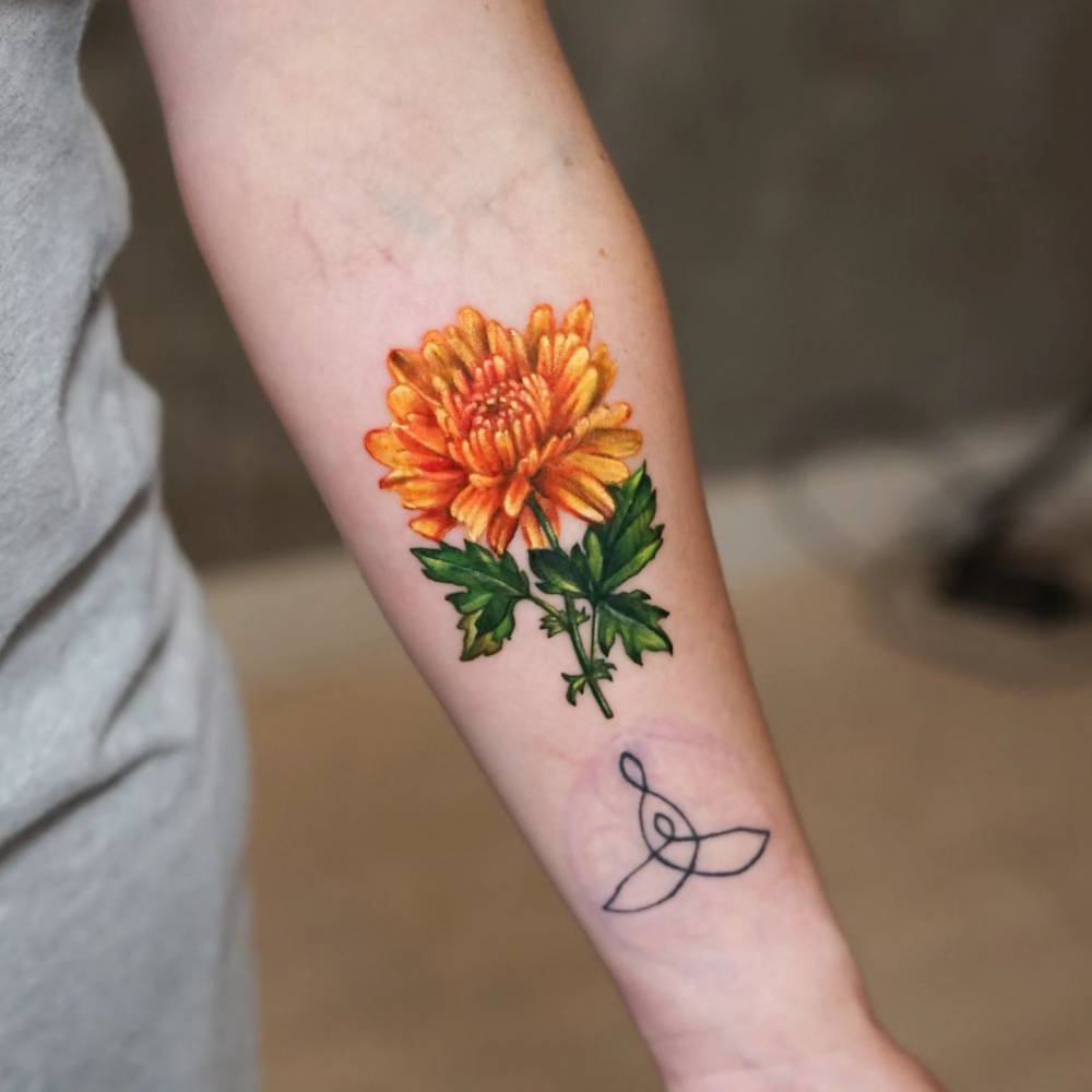 Chrysanthemum tattoo located on the inner forearm.