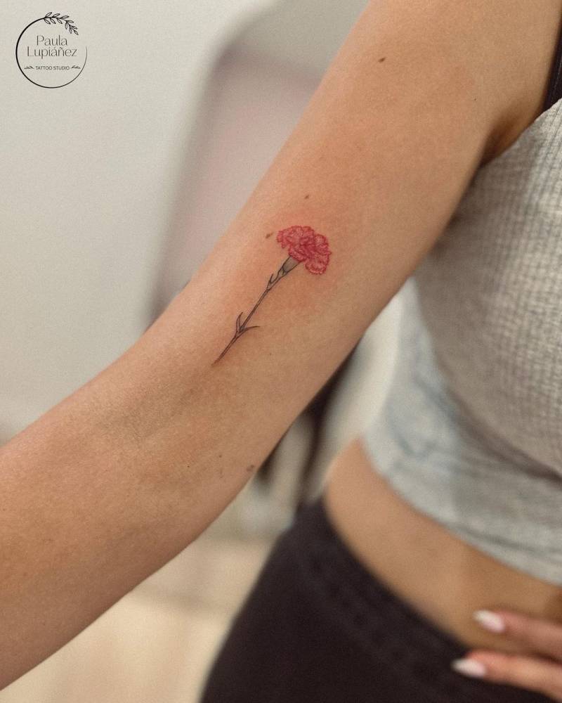 Carnation tattoo located on the bicep, illustartive style.