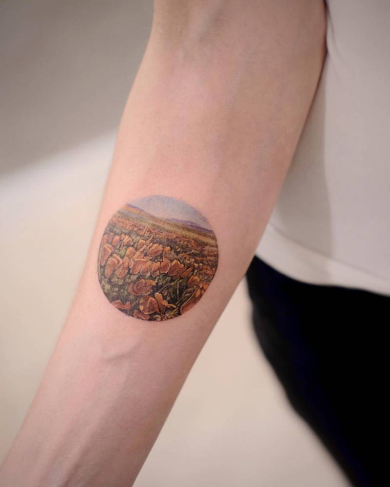 This is a field in California, full of orange California poppies.