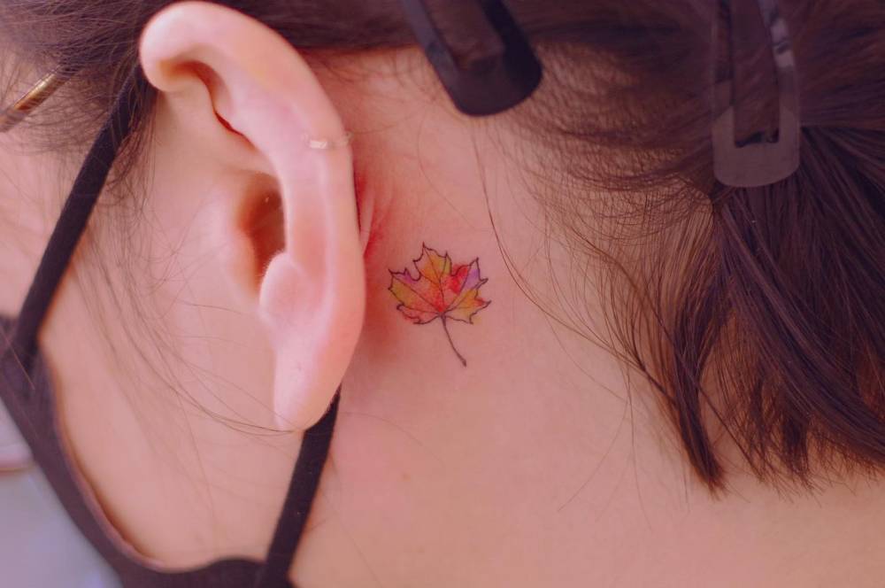 Illustrative style maple leaf tattoo placed behind the ear.