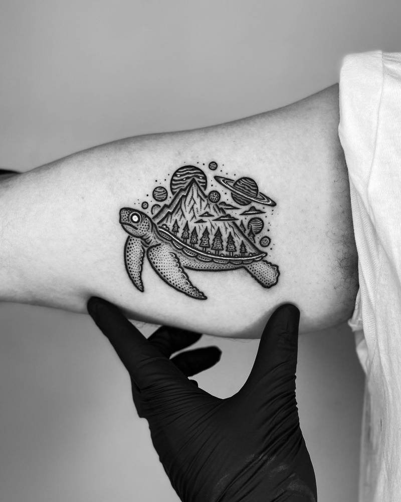 'The Turtle Mountain'.