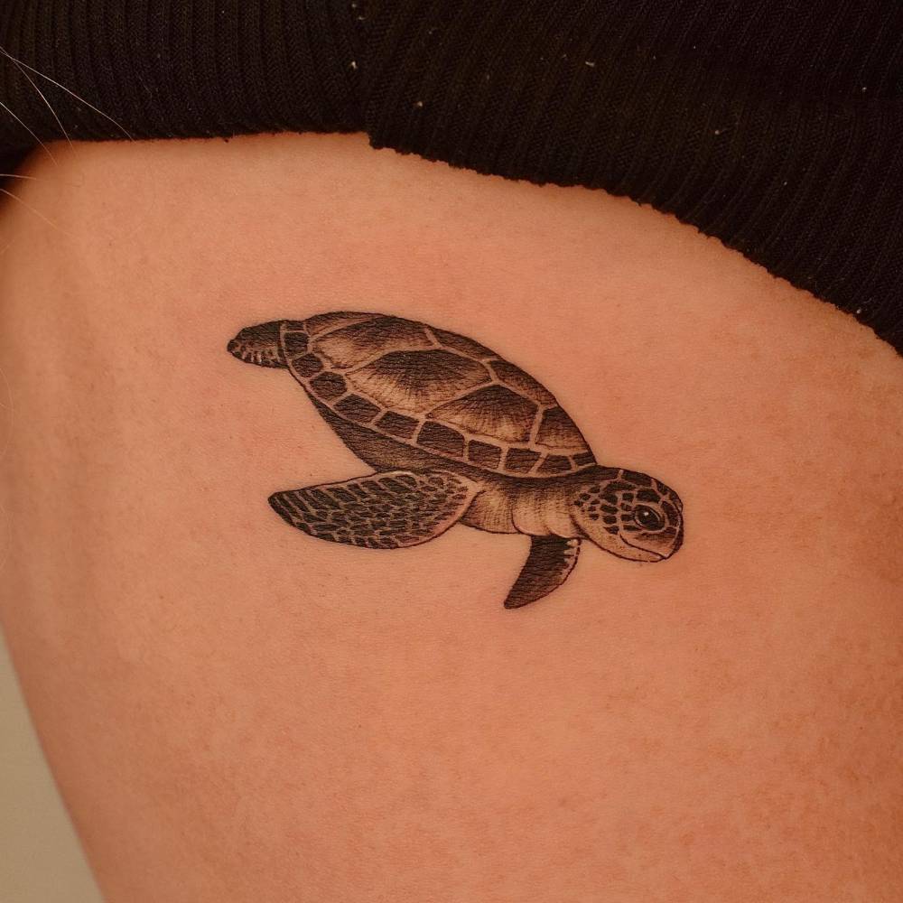 Turtle tattoo located on the rib, done in illustrative style.