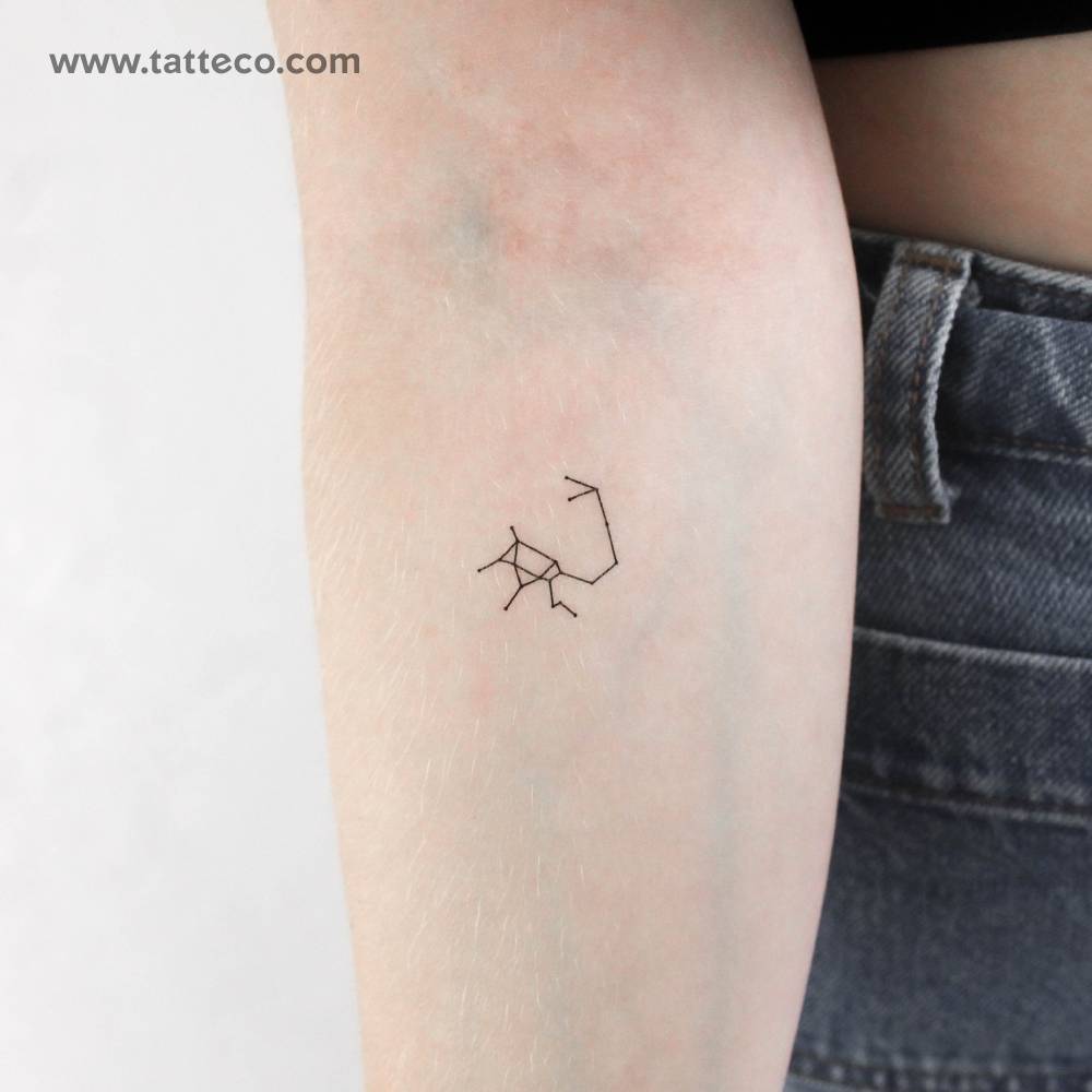 Tiny Sagittarius Constellation Temporary Tattoo