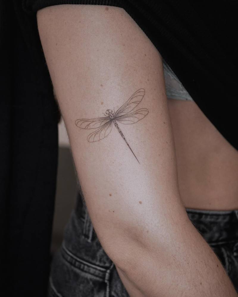 Illustrative style dragonfly tattoo located on the upper arm.