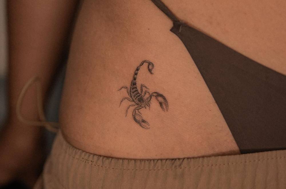 Illustrative style scorpion tattoo located on the pelvis.