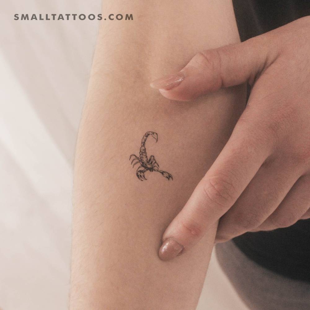 Scorpion Temporary Tattoo