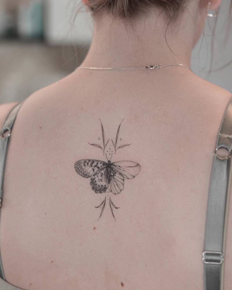 Illustrative style butterfly tattoo done on the upper back.