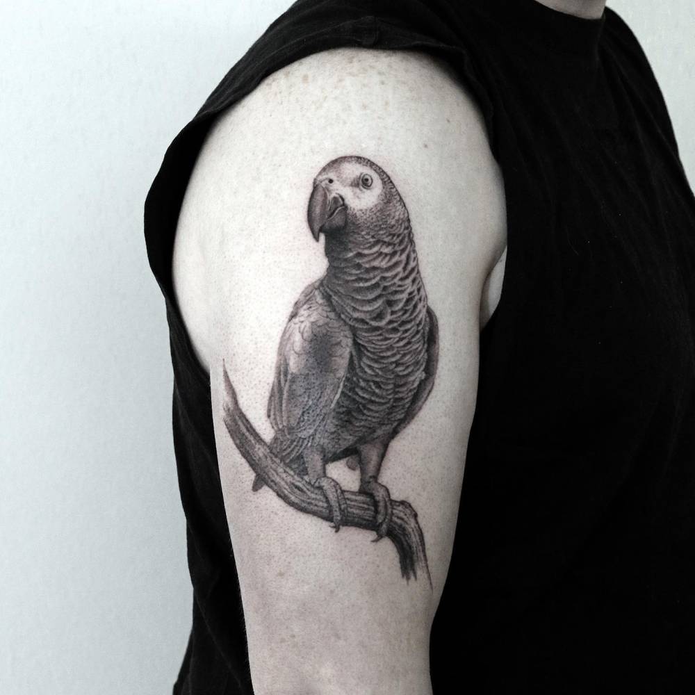 Black and grey style parrot tattoo located on the upper arm.