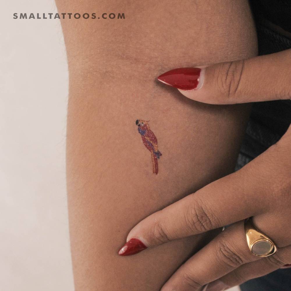 Parrot Temporary Tattoo