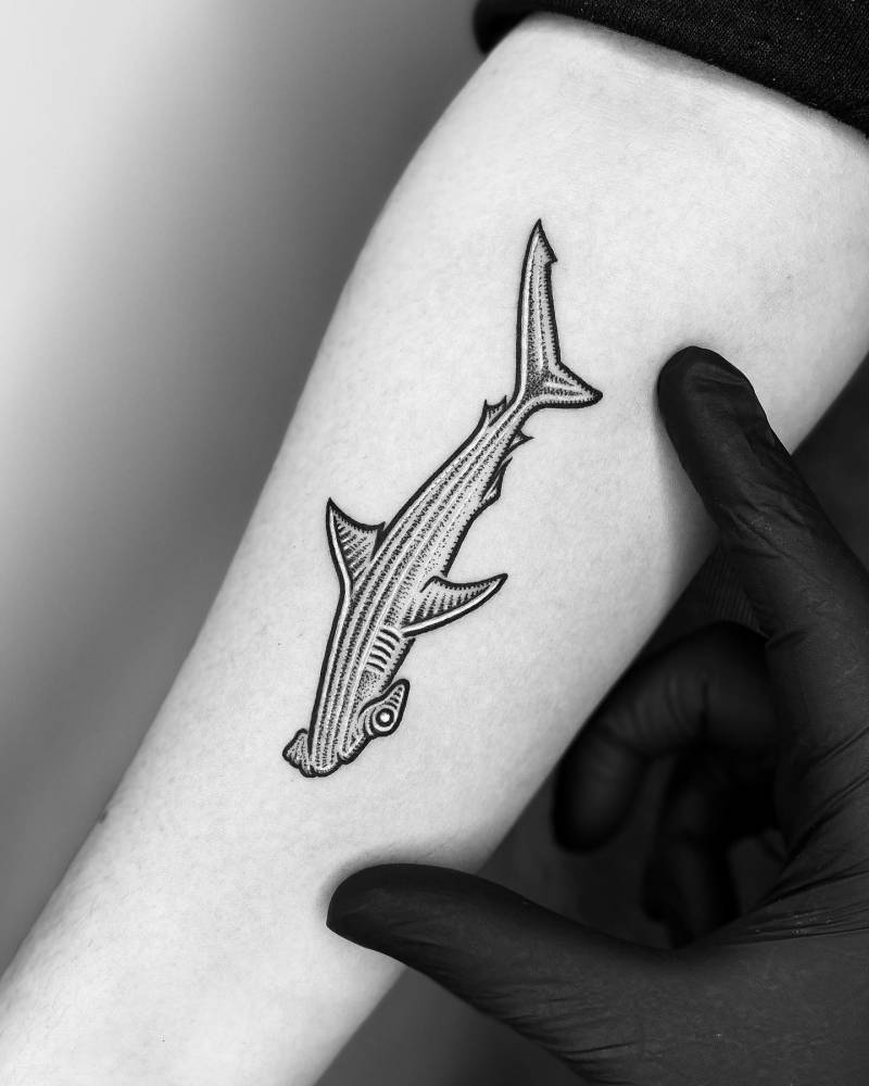 'The Hammerhead Mini'.