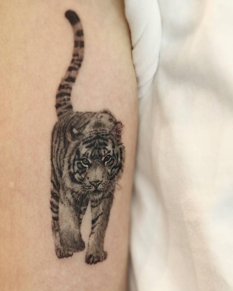 Tiger tattoo done on the bicep, micro-realistic style.