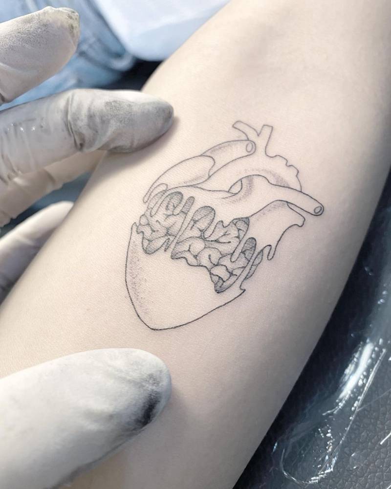 Fine line heart vs. brain tattoo on the inner forearm.
