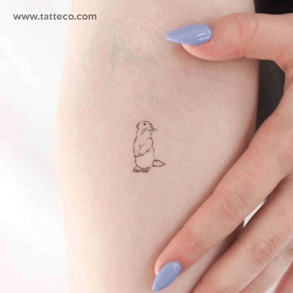 Marmot temporary tattoo in fine line style located on the inner forearm.
