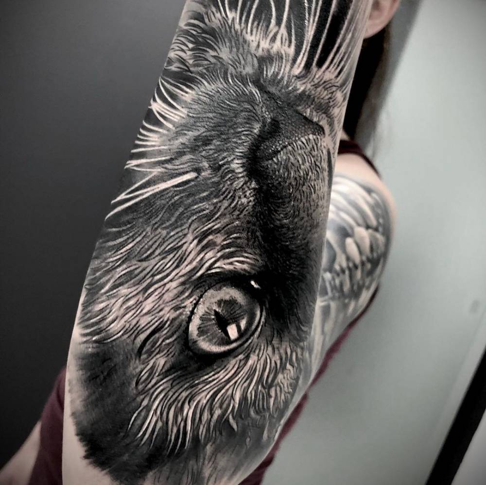 Black and grey cat portrait tattoo on the forearm.