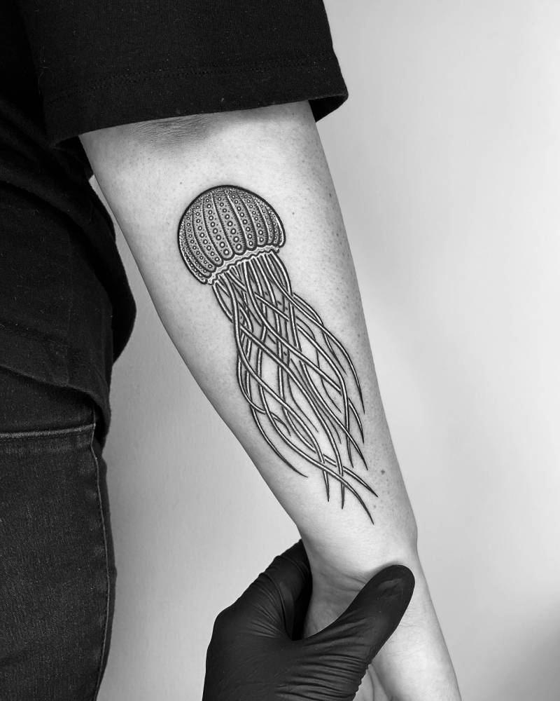 'The Jellyfish Threads'.