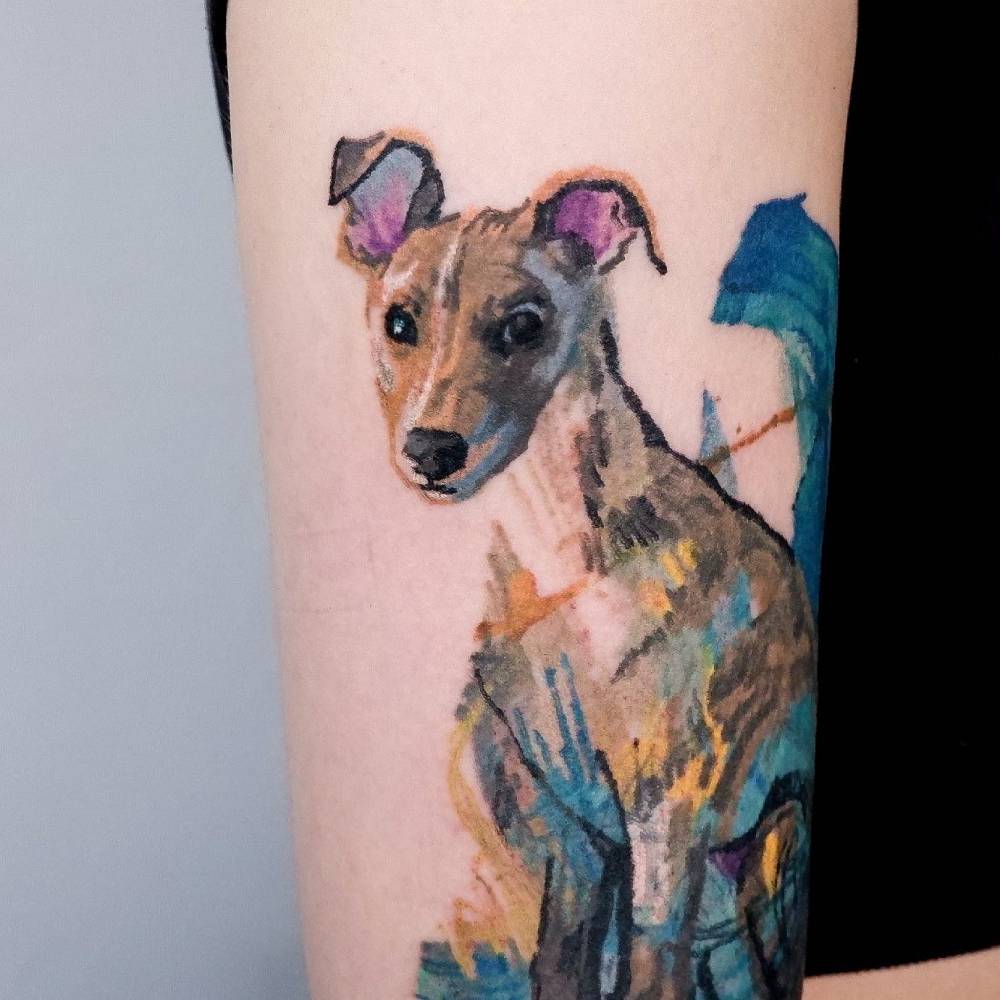 Greyhound tattoo located on the upper arm, watercolor style.