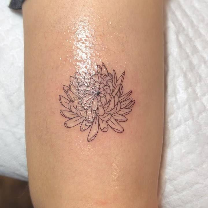 Fine line style chrysanthemum flower tattooed on the tricep.