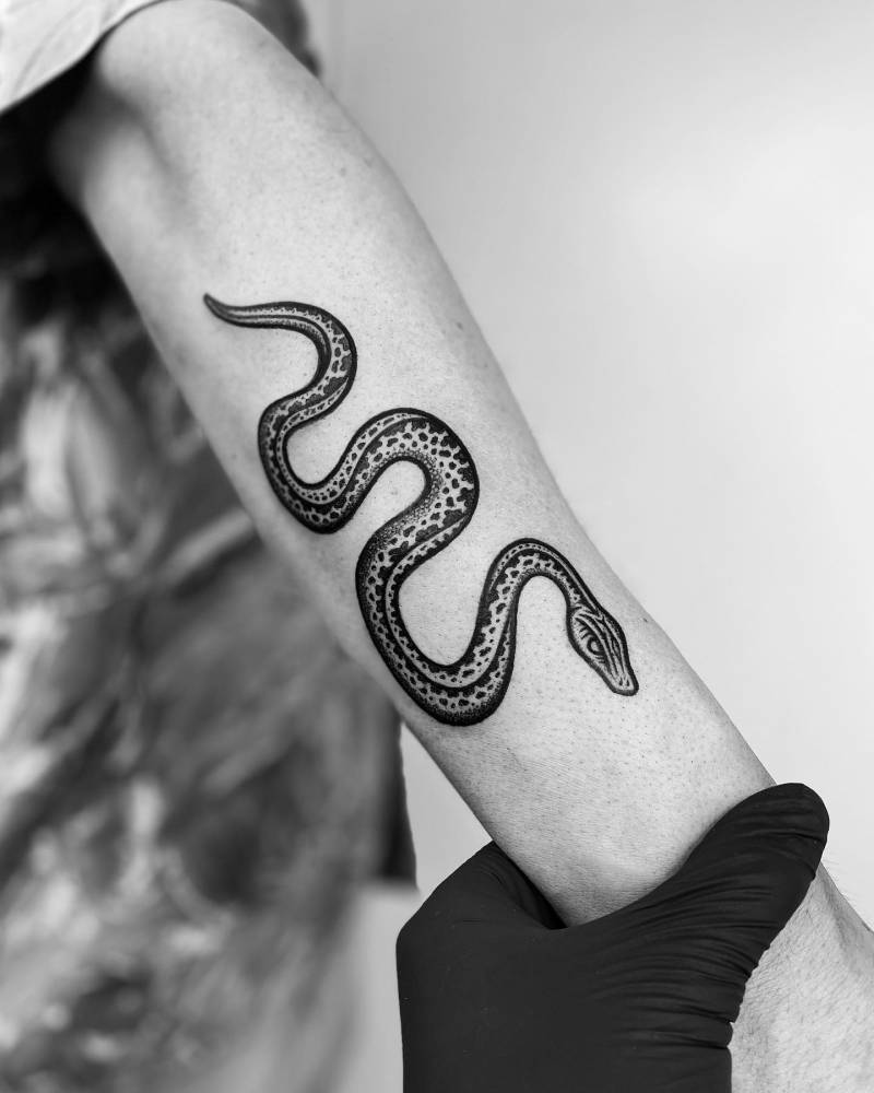 'The Synchronised Snakes'.