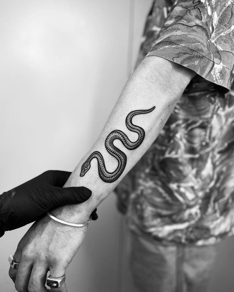 'The Synchronised Snakes'.